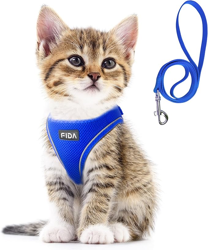 Fida Comfy Dog Harness with Leash, Cat Vest Harness Escape Proof, Breathable Lightweight Soft Mesh, Adjustable Reflective Step-in Harness for Puppy Toy Breeds & Extra-Small Pet (XXS, Blue)