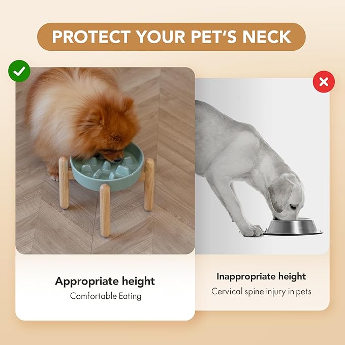 Ceramic 1.2 Cup Dog Raised Slow Feeder Set, Elevated Bowl