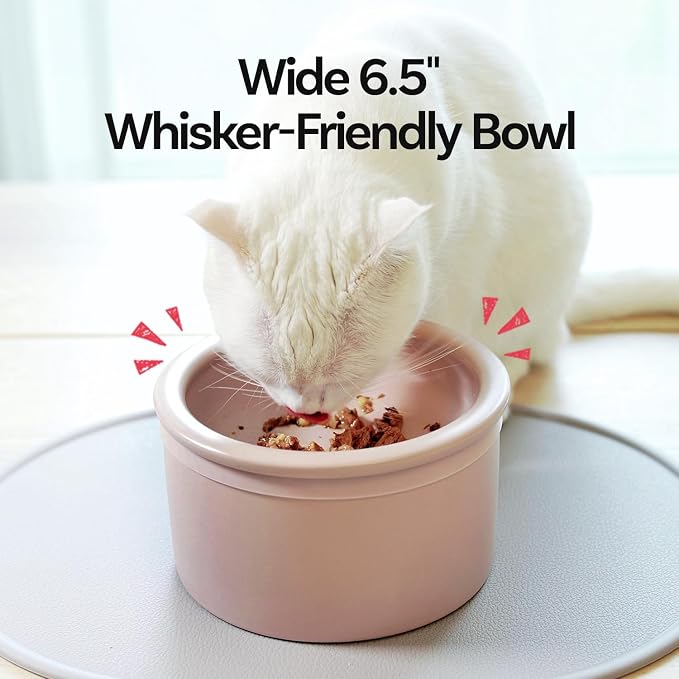 Hello Bowl Elevated Ceramic Cat Bowl with Stand, Raised Whisker-Friendly Feeding Bowl for Cats & Small Dogs, Patented Design, Made in Korea (Yellow, Square Only/Dry)