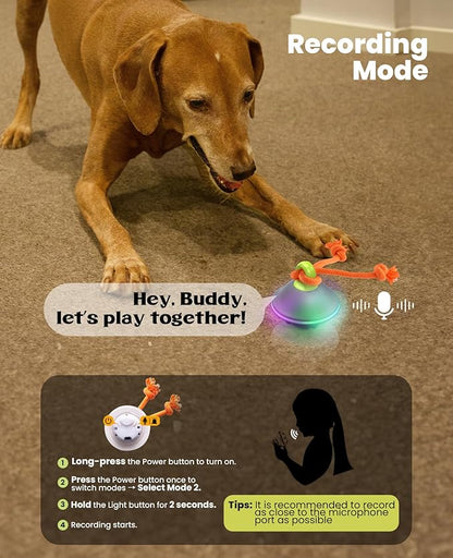 Interactive Dog Toys, Automatic Moving and Rolling LED Light Up Dogs Ball with Rope, Motion-Activated Wicked Ball for Small Medium Pup, Stimulation Toy for Boredom Relief