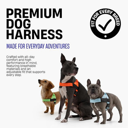 Dog Friendly Co. Dog Harness for Large Dogs (Sky Blue, Extra Large) | One Click Buckle, Chafe Resistant Webbing, Adjustable Neck & Chest, and Heavy Duty D-Ring, Sturdy Comfortable and Easy to Use