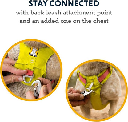 Ruffwear, Hi & Light, Everyday Lightweight Dog Harness, Trail Running, Walking, Hiking, All-Day Wear, Sage Green, XXX-Small