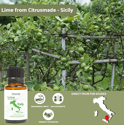 Lime Essential Oil