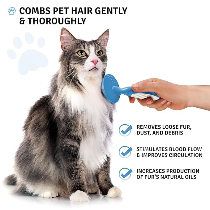 Round Bristle Pet Brush for Dogs and Cats - Soft Dog Brush for Grooming Short or Long Hair - Gentle Tool for Sensitive Skin Removes Dander, Dirt, and Detangles (Blue)