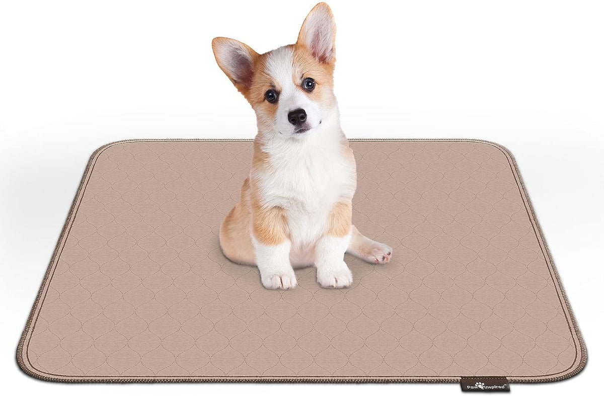 Paw Inspired Washable Pee Pads for Dogs (2 Pack), Leakproof, Non-Slip Reusable Puppy Pads for Potty Training, Whelping, Waterproof Mat (32x30 Inch, Pack of 2)