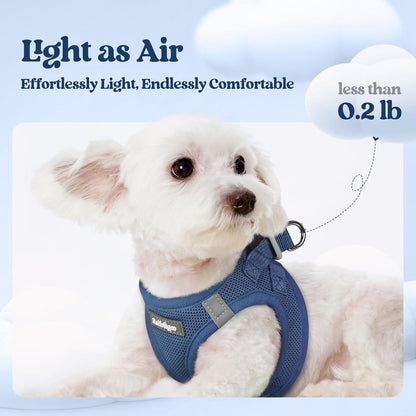 rabbitgoo Dog Harness Small Medium Sized and Leash Set, Step in Soft Light Puppy Vest, Breathable Mesh Pet Harness, Reflective for Safe Outdoor Walking, Navy Blue L