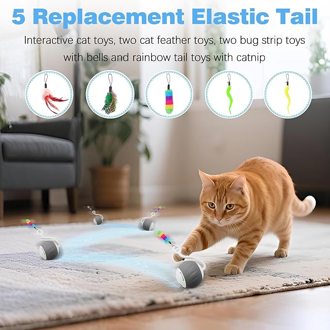 Cat Toys Interactive for Indoor Cats, Touch & Sound Smart Control - Fast slow 2 Speed Motion Activated Cat Ball Toy for Bored Cats With LED Lights, Feathers Tail, USB Charging Cable, 6in1 - Gray