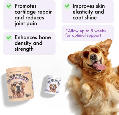Collagen Dog Chews for Joint & Skin Health 30 Soft. A thoughtful pick for calmer daily routines.