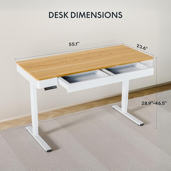 FLEXISPOT Q5 Standing Desk