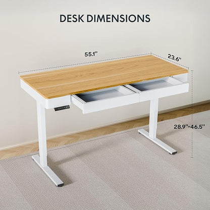 FLEXISPOT Q5 Standing Desk