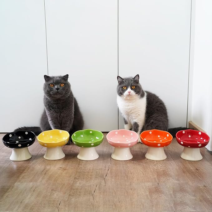 Green Mushroom Cat Bowl, Elevated Ceramic Bowl for Cats | Elevated, Ceramic, Whisker Friendly, Wide Opening, Anti Vomiting