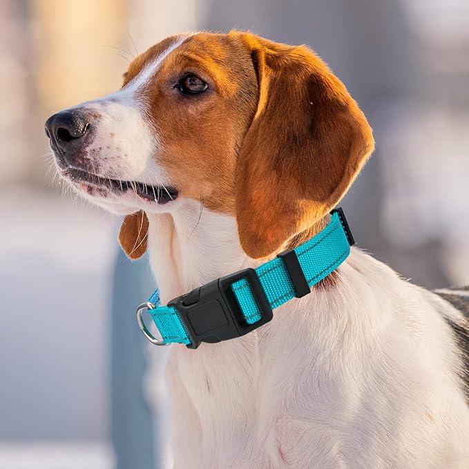 DIY Personalized Embroidered Dog Collar - Custom Hand-Stitched Name & Number, Reflective Adjustable Pet Collar for Small/Medium/Large Dogs & Cats, Durable Nylon with Steel D-Ring (Orange, Large)