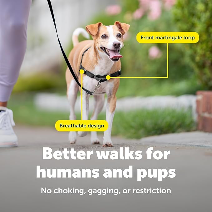 PetSafe Easy Walk Harness, No Pull Dog Harness, Black, Petite/Small | Patented Martingale Loop Gives Gradual Shoulder Pressure to Stop Pulling, Front-Chest Leash Clip Prevents Gagging