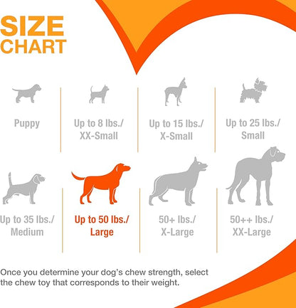 Nylabone Limited Edition 70th Birthday Donut Power Chew Toy for Dogs, Durable & Tough Dog Toys for Aggressive Chewers, Pumpkin & Peanut Butter Flavor, Large - Up to 50 lbs (1 Count)
