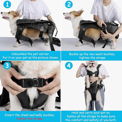 PetBonus Dog Front Carrier Backpacks, Legs Out Easy-fit Puppy Chest Carrier | Hands Free, Adjustable, Safety Strap, Walking Hiking Cycling Motorcycle bag, For Small Medium Dogs (Black, L)