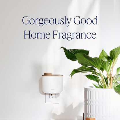 Aera Mini Home Fragrance Diffuser Plug-in: Smart Home App Aroma Control