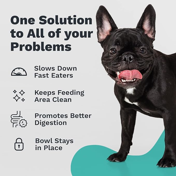 Enhanced Pet Bowl – Slanted Stainless Steel Dog Bowl for Flat-Faced Breeds Like Bulldogs, Pugs, Frenchies – Raised Back, No-Spill, Reduces Gas & Mess – Large Size, Non-Slip, Food-Grade