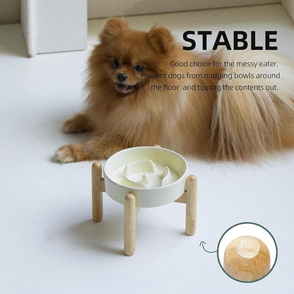 Ceramic 0.9 Cup Raised Dog Slow Feeder Set, Elevated Bowl