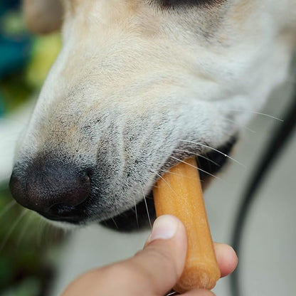 Himalayan Dog Chew Churro Yak Cheese Dog Chews, 100% Natural, Long Lasting, Gluten Free, Healthy & Safe Dog Treats, Lactose & Grain Free, Protein Rich, For All Breeds, Soft, Chicken Flavor, 4 Pack