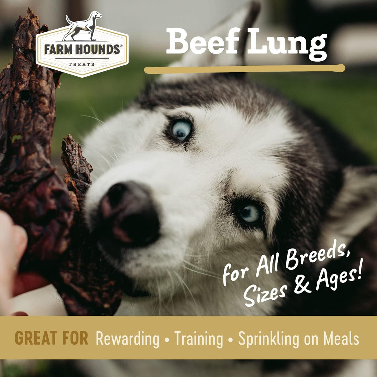 Farm Hounds - Beef Lung - Premium Natural Beef Lung Jerky for Dogs - Made from 100% Humanely Raised Cattle - Organ Treat - Great for Training & Treats - No Added Fillers - Made in USA - 2 oz - 2 Pack