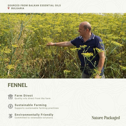 Fennel Essential Oil