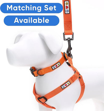 Pawtitas Extra Extra Small Dog & Cat Leash, 6 FT Orange Solid Color, Ideal for Toy Breeds, Durable Nylon, Not for Chewing