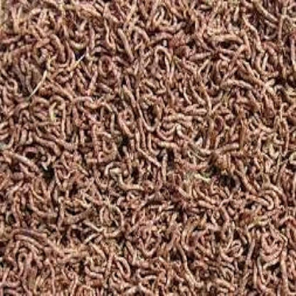 Aquatic Foods Inc. Bloodworms, Freeze Dried Grade A Fresh Floating Bloodworms for All Tropical Fish, Bettas, Discus, Cichlids, Community Fish, Turtles, Carnivore Tropical Fish - 4-lbs