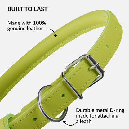 CollarDirect Rolled Leather Dog Collar, Soft Padded Round Puppy Collar, Handmade Genuine Leather Collar Dog Small Large Cat Collars 13 Colors (6-7 Inch, Lime Green Smooth)