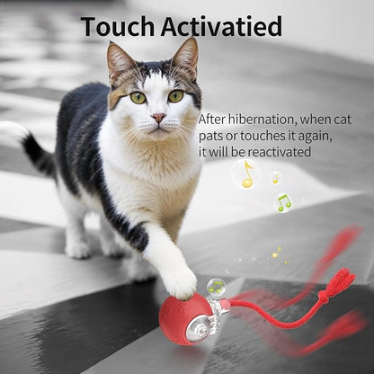Interactive Cat Toys, Automatic Moving Cat Toys for Bored Indoor Adult Cats, Fast Rolling, Chirping & Motion-Activated Kitty Toys, Fun Gift for Cats with Speedy Tail 2.0, USB Rechargeable,Red