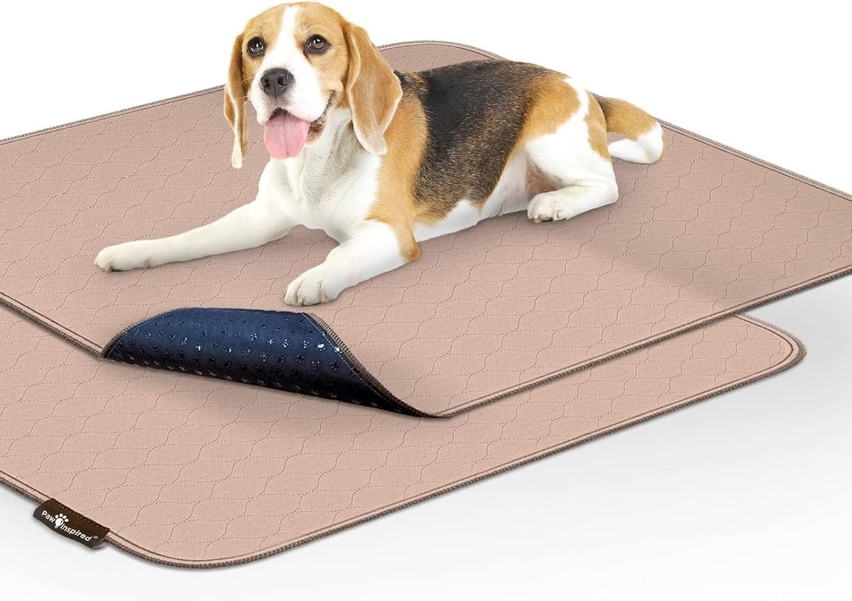 Paw Inspired Washable Pee Pads for Dogs (2 Pack), Leakproof, Non-Slip Reusable Puppy Pads for Potty Training, Whelping, Waterproof Mat (32x30 Inch, Pack of 2)