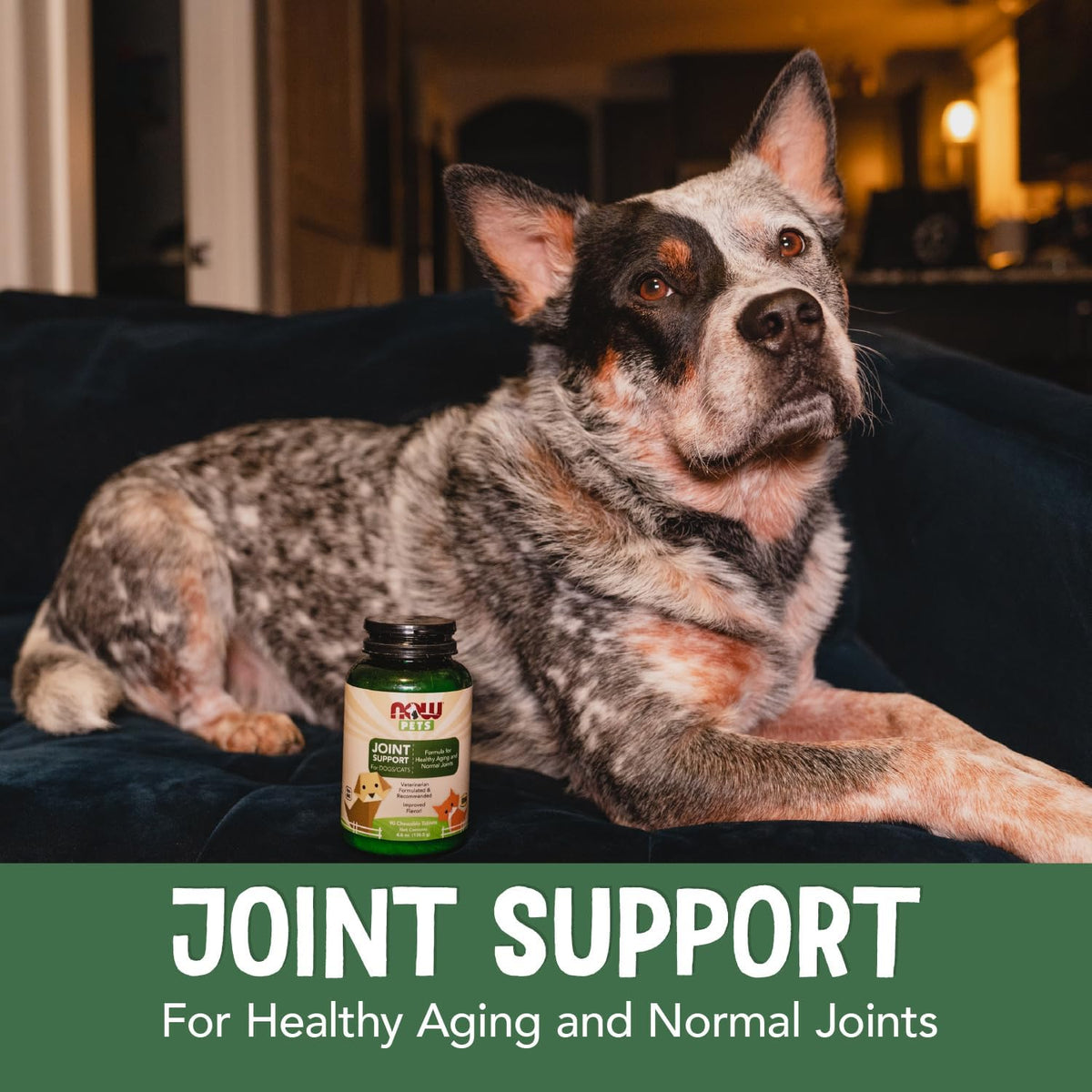 NOW Pet Health, Joint Support Supplement, Formulated for Cats & Dogs, NASC Certified, 90 Chewable Tablets