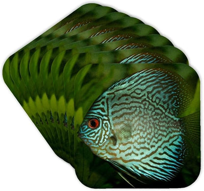 3dRose Blue Exotic Discus Fish Set of 8 Coasters - Cork