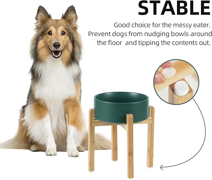 Ceramic Raised Dog Bowl Set, Elevated Dog Bowl