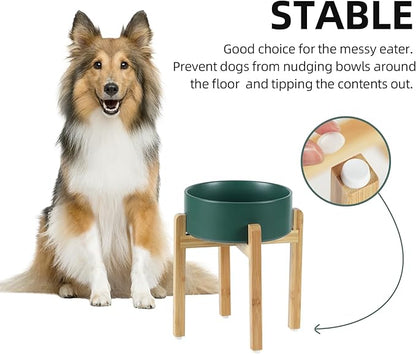Ceramic Raised Dog Bowl Set, Elevated Dog Bowl