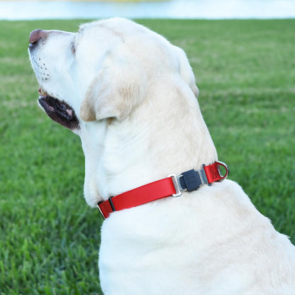 Dogline Biothane Waterproof Dog Collar with Herm Sprenger Black Stainless Steel Quick Release Buckle – Heavy Duty Tactical Durable Collar for Dogs – Comfortable and Safe Pet Collar W 3/4" L 12-19" Red