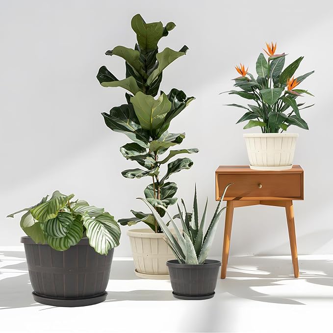 Quarut 12 Inch Large Planter Pot for Plants Indoor Outdoor, 4 Pack Plastic Flower Pots with Drainage Hole & Tray, Modern Decorative Garden Pot with Saucer, Plant Container for House（Brown）
