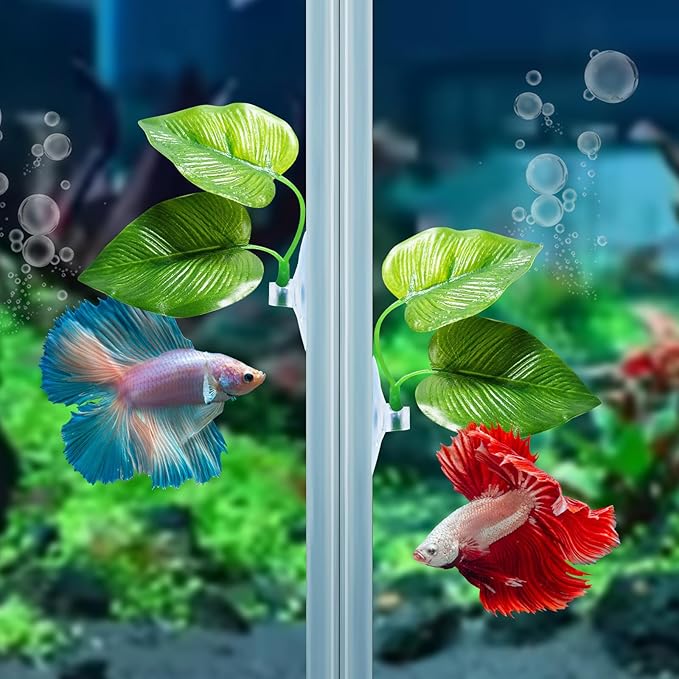 CousDUoBe 3 Pack Betta Fish Leaf Pad Improves Betta's Health by Simulating The Natural Habitat - Natural, Organic, Comfortable Rest Area for Fish Aquarium Ornaments