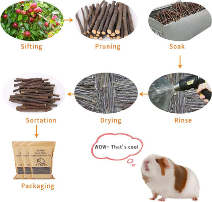 600g Apple Sticks Molar Wood Treats, Rabbit Toys Chinchilla Guinea Pig Bunny Toys Wood Chews Sticks for Teeth Rabbit Food Guinea Pig Hamster Gerbil Chews Small Animals Snacks(150 Pcs)
