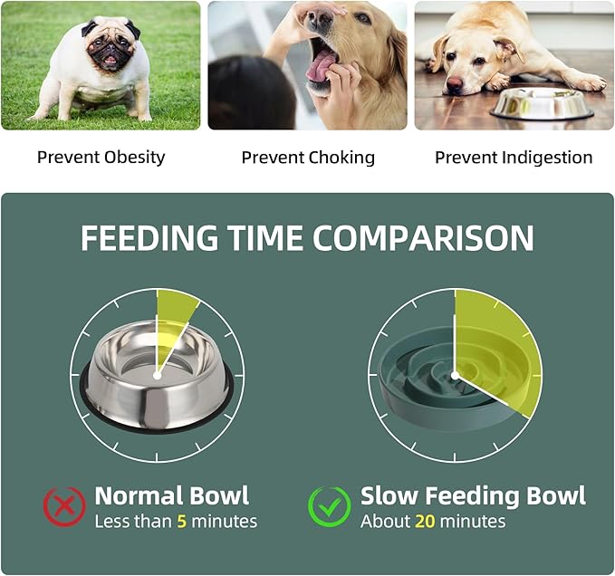 Ceramic 1.6 Cup Slow Feeder Dog Bowl