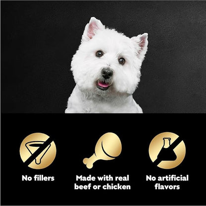 Cesar Filets in Gravy Wet Dog Food Filet Mignon Flavor, Rotisserie Chicken Flavor, and Wood-Grilled Chicken Flavor Variety Pack, 1.76 oz. Mini-Pouches (40 Count, Pack of 1)