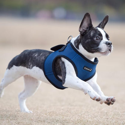 PUPPIA International Puppia Harness Soft B Vest Royal Blue Medium