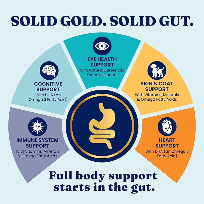 Solid Gold Salmon Dog Food for Sensitive Stomachs – Grain Free & Gluten Free Kibble w/Probiotics to Support Gut Health & Digestion - Sensitive Stomach Dog Food for All Ages – Nutrientboost™ – 22 LB
