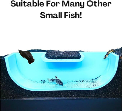 Betta Underground Tunnel Hideout Cave | Aquarium Hide for Small Fish and Shrimp | Viewing Betta Fish Rest Hammock Enrichment Toy | Betta Fish Tank Accessories Decorations Toys Decor (Light Blue)