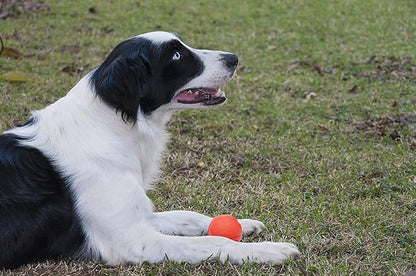 Hard Rubber Balls for Dogs,Dog's Solid Rubber Bouncy Ball Bite Resistant and Indestructible Dog Training Ball,Dog Balls for Aggressive Chewers