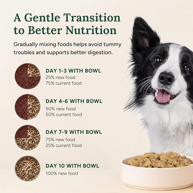 360 Pet Nutrition Freeze-Dried Raw Dog Food – Multi-Protein with Beef, Chicken, Fish, Liver & Organs, High Protein Omega-3s Fruits Veggies & Superfoods Grain-Free, No Fillers, 6 x 5 oz – Made in USA