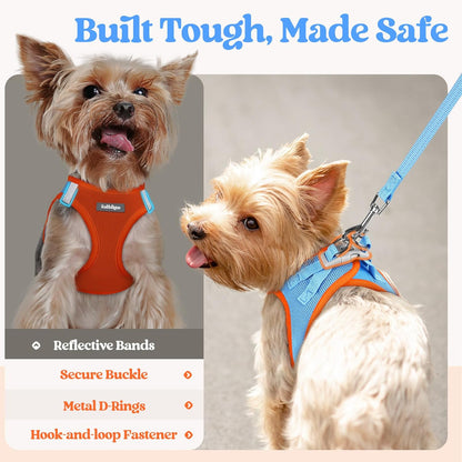 rabbitgoo Dog Harness Medium Sized and Leash Set, Step in Soft Light Puppy Vest, Breathable Mesh Pet Harness, Reflective for Safe Easy Walking, Blue & Orange XXL