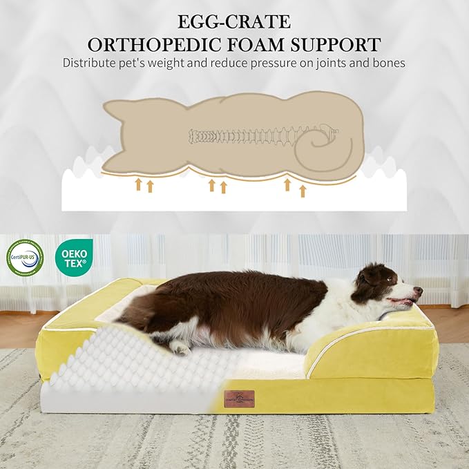 Comfort Expression Orthopedic Dog Bed