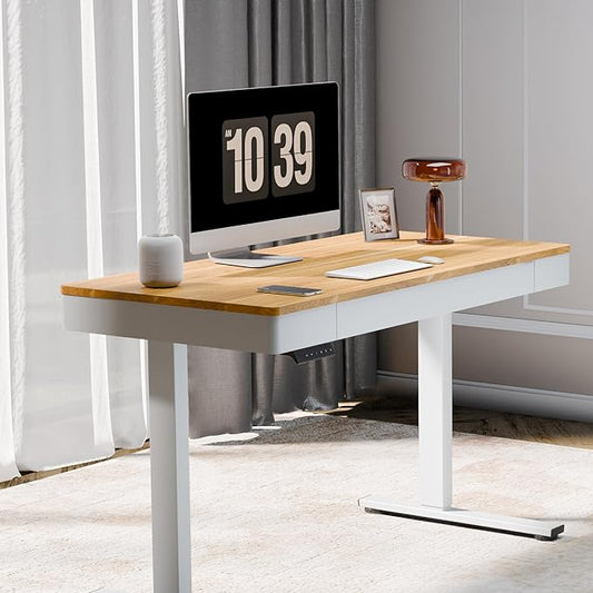 FLEXISPOT Q5 Standing Desk