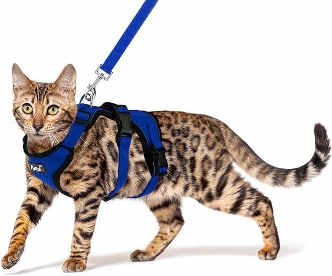 PUPTECK Cat Harness and Leash Set Escape Proof for Walking, Breathable Mash Vest Adjustable Harness for Cats Puppy Small Animals, Reflective at Night, Blue Medium