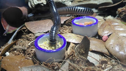 Tarantula Micro Water Bowl Spider Anti-Turnover Bowl for Small Hamster Tarantula Spider Scorpion Cricket Snail Manti Millipede Tiny Bugs Reptile Terrarium Cage Accessories (M (1.18''dia),8 Pcs)